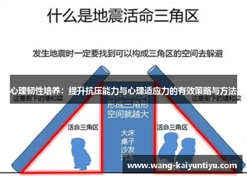 心理韧性培养：提升抗压能力与心理适应力的有效策略与方法