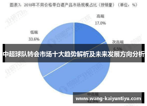 中超球队转会市场十大趋势解析及未来发展方向分析