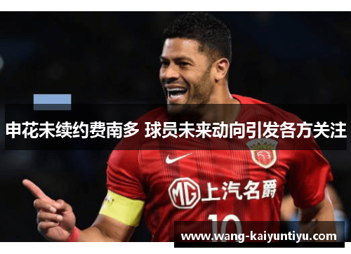 申花未续约费南多 球员未来动向引发各方关注