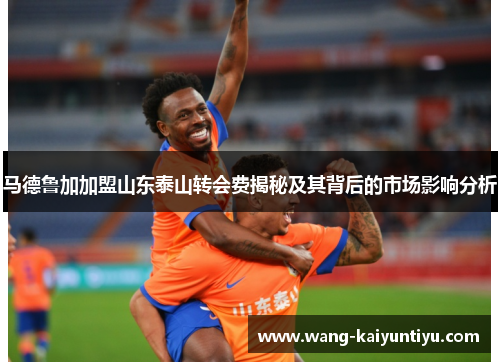马德鲁加加盟山东泰山转会费揭秘及其背后的市场影响分析