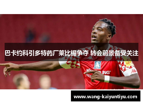 巴卡约科引多特药厂莱比锡争夺 转会前景备受关注