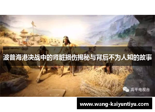 波普海港决战中的肾脏损伤揭秘与背后不为人知的故事